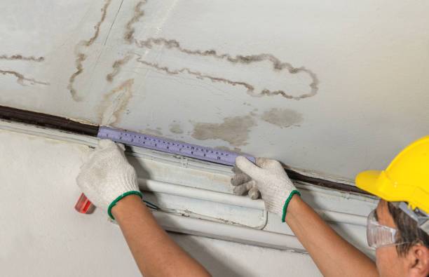 Reliable Water Damage contractor in Forreston, TX by Water Damage Irwin